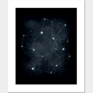 Ocstellation Posters and Art